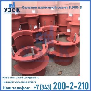 Сальники нажимные серия 5.900-3 в Нижневартовске